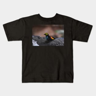 Colorful Bird Kids T-Shirt